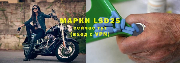 apvp Алзамай