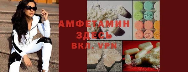 индика Алексин