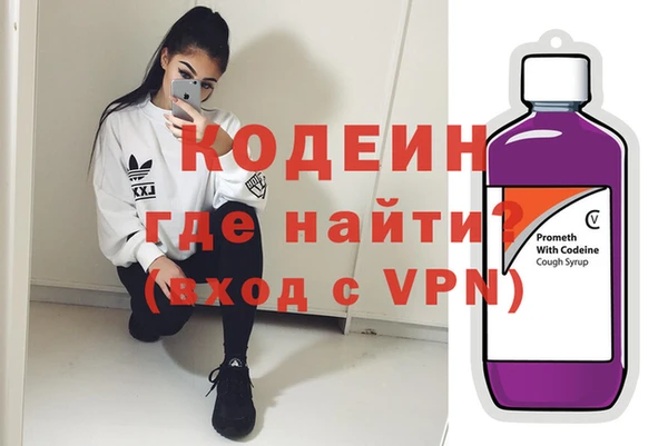 индика Алексин