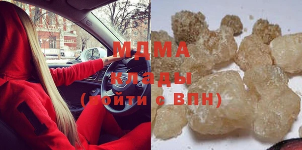 индика Алексин