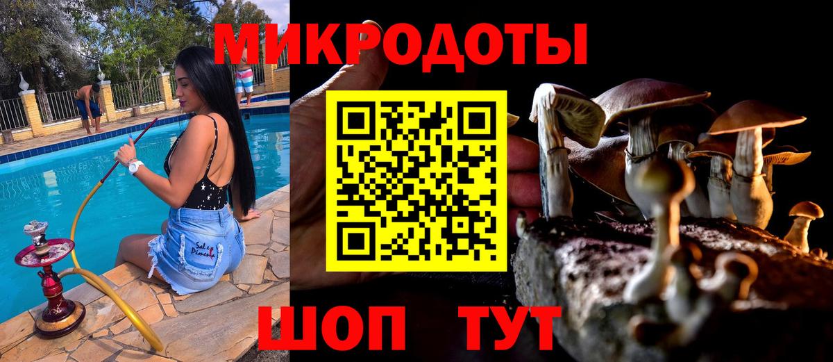 Курган  Псилоцибиновые грибы мухоморы  Вход с VPN 